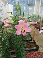 [5680 VZ W08 3000-01 No01.JPG]